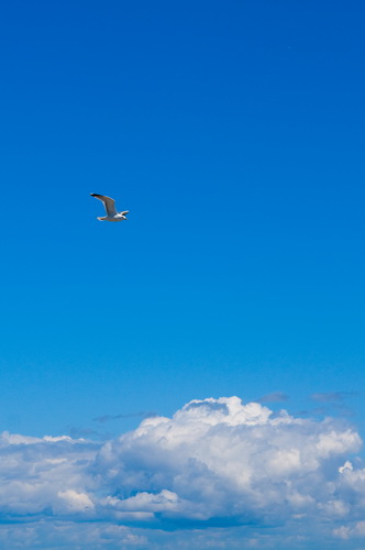 Alone in the sky